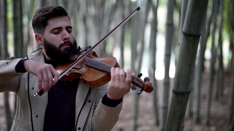 romantic musician is playing violin in bamboo grove, fiddler in nature