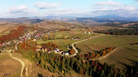 Boundless highlands covered with green coniferous and terracotta deciduous forests under cloudy sky on sunny autumn day, realtime 4K aerial drone video