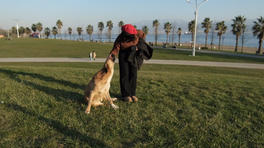 Playing with a stray puppy is a lot of fun,spending a nice day in the palm tree park, a young women in weekend relaxation activity
