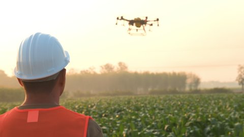 Male engineer controlling drone spraying fertilizer and pesticide over farmland,High technology innovations and smart farming