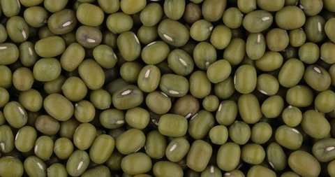 Top view of green mung beans rotating. Closeup. Macro.