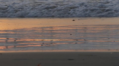 Ocean in sunlight, sea waves and littoral sand at sunset. Sun light reflection on water surface. California coast, beach or shore summer vibes. Calm romantic atmosphere. Seamless looped cinemagraph.