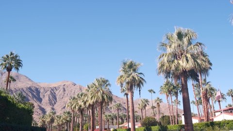 Row of palm trees and mountains or hills, sunny Palm Springs vacations resort near Los Angeles, Old Las Palmas, California valley nature, USA. Arid dry climate plants, desert oasis flora, summer vibes