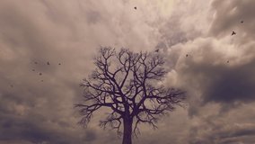 Birds flying on top of a deciduous tree, cloudy day, sepia colors - Powered by Shutterstock - Get 15% off with code: PIKWIZARD15
