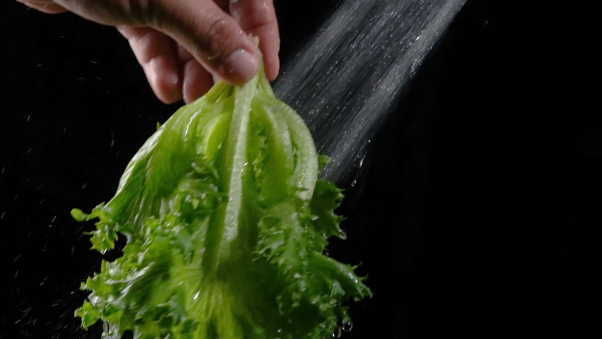 Close-up of hands holds green fresh salad vegetables or Frillice Iceberg Lettuce washing and shake with splashes water droplets on a dark background, slow motion, Vegan food