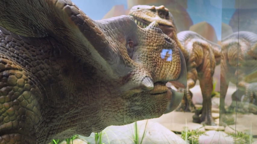 dinosaur models move and wave their heads. natural models of ancient animals in full size