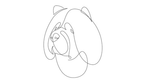 Self drawing simple animation of single continuous one line drawing Chow Chow. Dog head drawing by hand, black lines on a white background. The concept of wildlife, pets, veterinary.