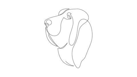 Self drawing simple animation of single continuous one line drawing Bloodhound. Dog head drawing by hand, black lines on a white background. The concept of wildlife, pets, veterinary
