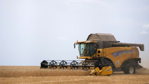 The combine harvester of an agricultural machine harvests from a field of golden ripe wheat.A combine harvester is working in a wheat field.The combine moves across the field and mows wheat
