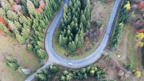 Fast cars drive along a winding gray highway into the autumn golden distance of the Carpathian mountains in a colored spruce yellow forest, in colorful Ukraine. 4K UHD realtime video