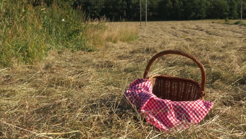 Woman with picnic basket and red gingham blanket medium slider shot selective focus