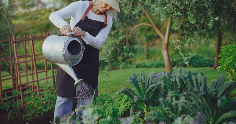 Woman tending to her garden, watering her plants, golden years of retirement