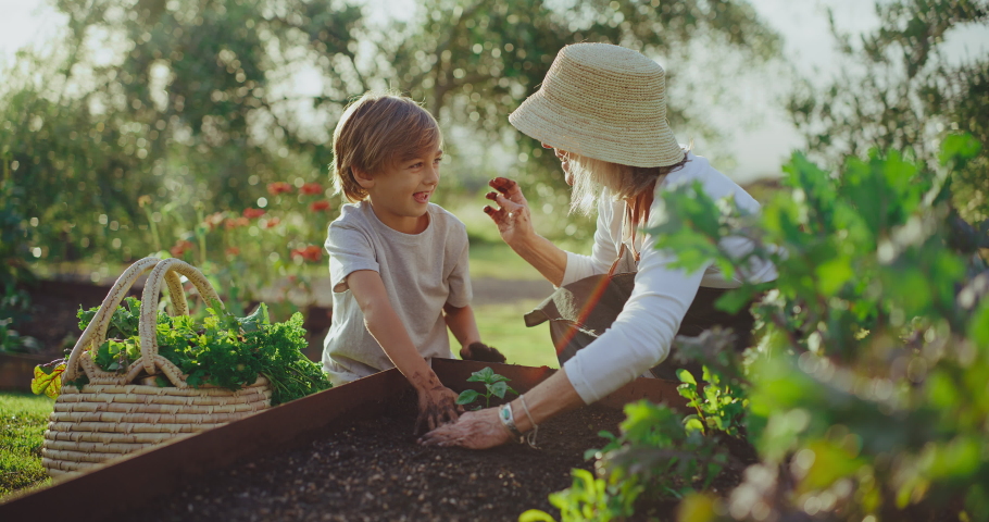 Grandmother and young grandson gardening Royalty-Free Stock Footage #1087734416