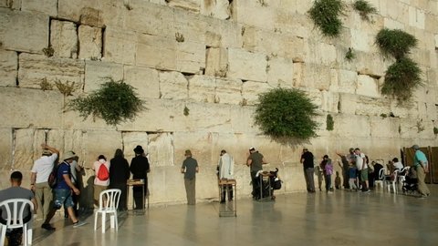 A wide shot of the holy Kotel, the men's praying section. all men are facing the wall in an afternoon light. May 30th, Western wall site, 2018, old city of Jerusalem, Israel.