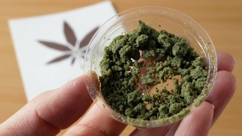 CBD Hemp extract under magnifying glass. Cannabis drugs, marijuana buds and dry grass. Cannabis pills containers with CBD. Alternative Medicine.