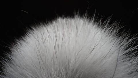 Real Fuzzy White Fur Extreme Closeup. The Camera Moves Through the Hairs of the Animal Fur. Abstract Background