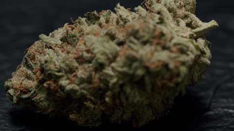 Macro shot of a Marijuana Bud, Canadian Medical Marijuana Industry