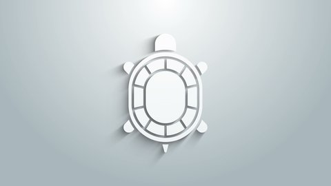 White Turtle icon isolated on grey background. 4K Video motion graphic animation .
