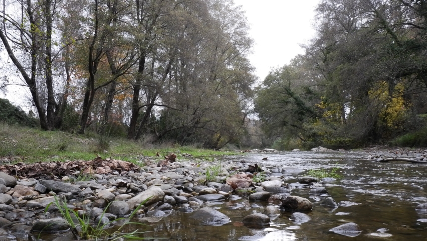 A river path among large trees in a very beautiful nature landscape. There are small stones pushed where the green grass ends. The river water flows beautifully. | Shutterstock HD Video #1087785332