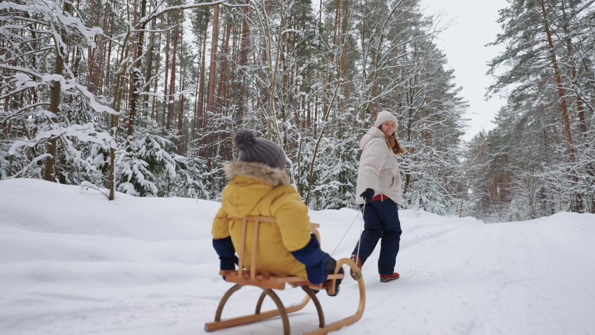family weekend and winter vacation in forest, woman sledding her little son in coniferous woodland