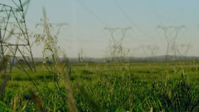 Animation of data processing and binary coding over landscape with electricity pylons. global connections, technology, data processing and digital interface concept digitally generated video. - Powered by Shutterstock - Get 15% off with code: PIKWIZARD15