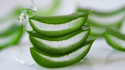Slices of Fresh Green Aloe Vera Plant Stacked Pieces of Leaves on a White Background And Transparent Extract Gel Flows through the Aloe Ingredients. Aloe Vera Gel Useful Herbal Skin Medicine