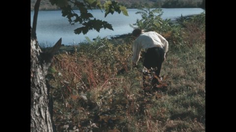 1960s: Man standing lakeside. Person grabbing plant in tall grass, walking away. Plants on lake edge. Garden path. Flowers lining walkway.
