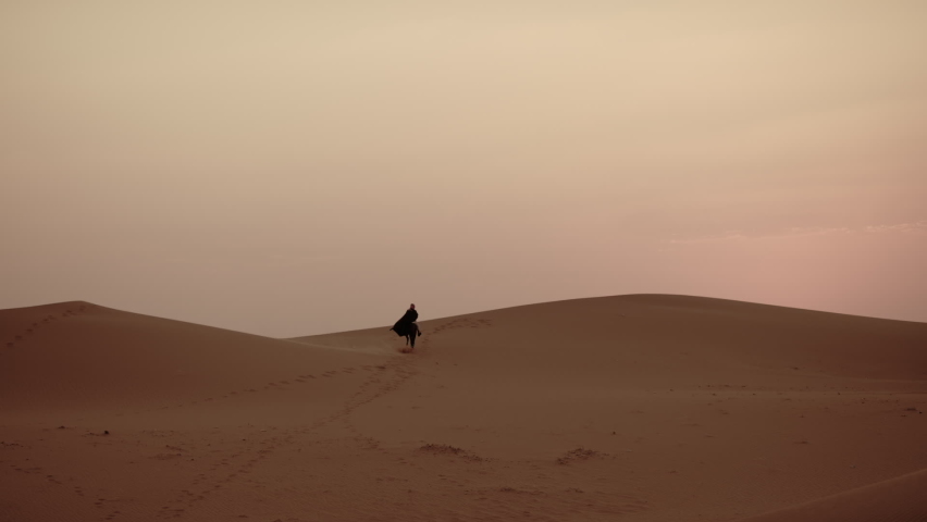 An Arab Person With Horses in the desert at sunset | Shutterstock HD Video #1087814191