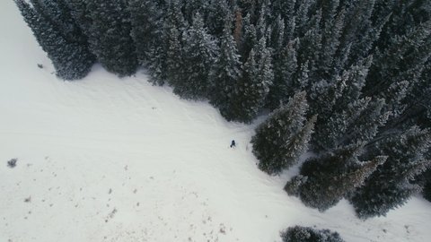 Drone Aerial View Flying Over Man Splitboarding Alone In Snowy Rocky Mountains Alpine Forest Tree Line With Light Snowfall.