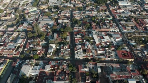 Beautiful tall green trees between the square blocks of housing divided by long linear roads and at-grade intersections in the Mexican city of Oaxaca. Drone tilt down shot