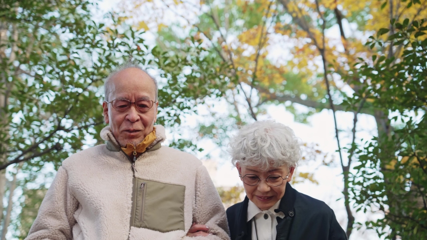 Asian old aged couple walking in the park. Second life.