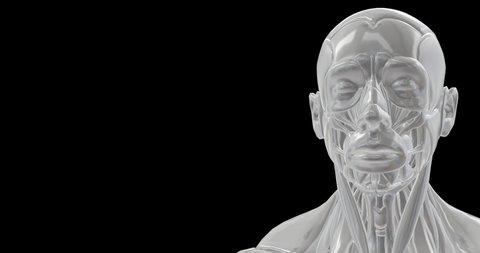 3d model man mannequin rotating in loop. Head of a man as robotic model rotating in loop. Technology and cyborg in futuristic Cyberpunk 
 concept. 