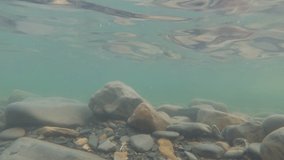 Sea stone bottom, underwater video. Lifeless sea without fish and plants. River, sea or lake water water
