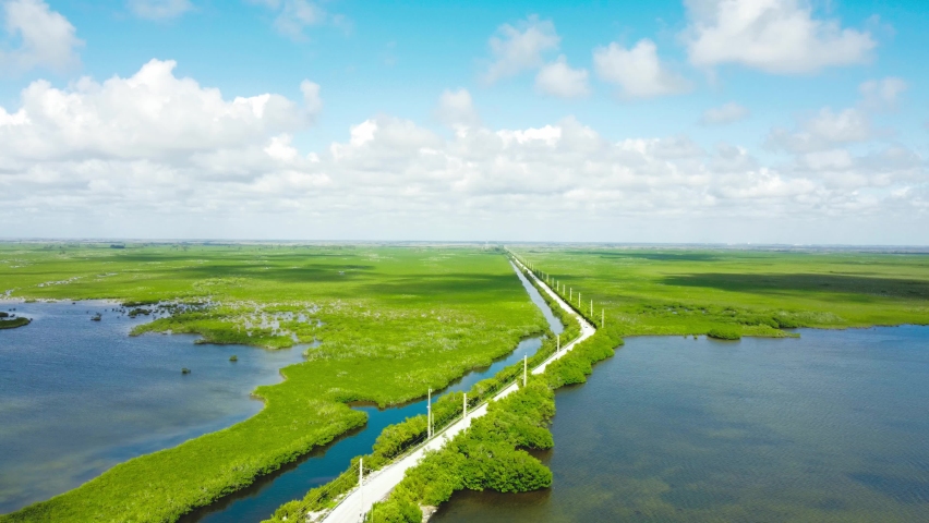 Often compared to a slow-moving, grassy river, the Everglades are made up of mangroves, reed swamps, and pine forests that are home to hundreds of animal species.