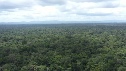 France, French Guiana, Amazon forest, a helicopter tracks gold panning sites and illegal gold miners during a patrol in the sky. Drone aerial view