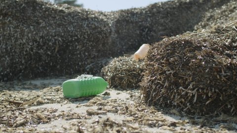 Plastic green bootle garbage on the sandy Mediterranean beach with the banks of seagrass, 4K slider in Dugi otok, Croatia