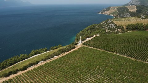 Winery Terra Madre - Green Vineyards At Komarna In Dalmatia, Croatia. - aerial