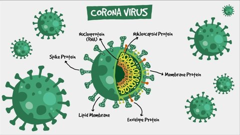 Motion graphic Covid or Crown Virus anatomy Video Motion with Parallax Effect for covid virus