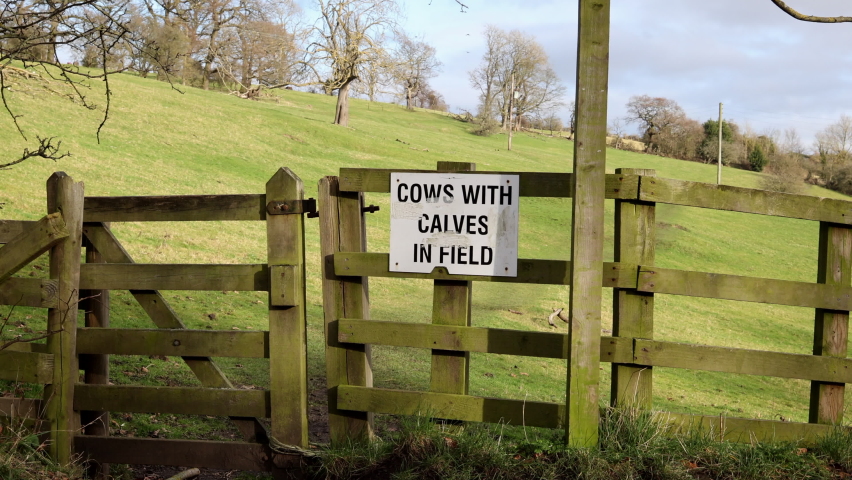 Cow traffic sign Stock Video Footage - 4K and HD Video Clips | Shutterstock