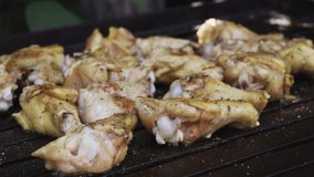 closeup of several pieces of chicken and thighs frying on a grill in a country house in the daytime in 4k