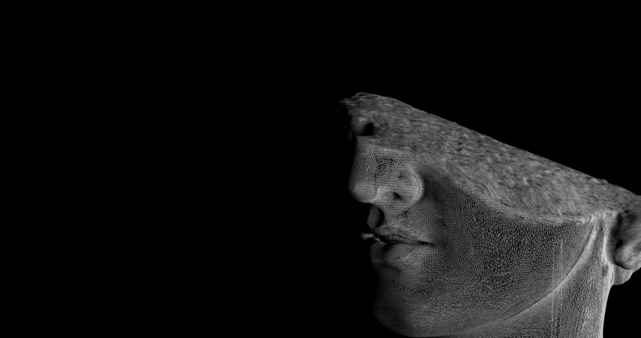 Head of statue in cloud of point as LIDAR laser scan. Head 3D model released in CC0 license, rotating in loop. Concept for digital NFT of greek and roman classical art. Digital cultural heritage Royalty-Free Stock Footage #1087890355