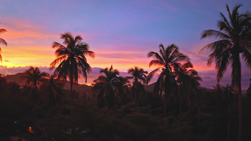 Palm trees tropical island of Phuket, Thailand at sunset with vivid sky Royalty-Free Stock Footage #1087905413