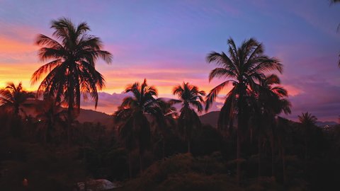Palm trees tropical island of Phuket, Thailand at sunset with vivid sky