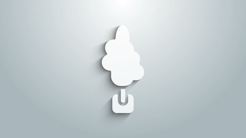 White Tree icon isolated on grey background. Forest symbol. 4K Video motion graphic animation .