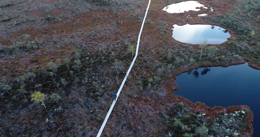 A lonely hiker walking on a wooden walking path on an early morning in Kuresoo bog, Soomaa National Park, Estonia.	
