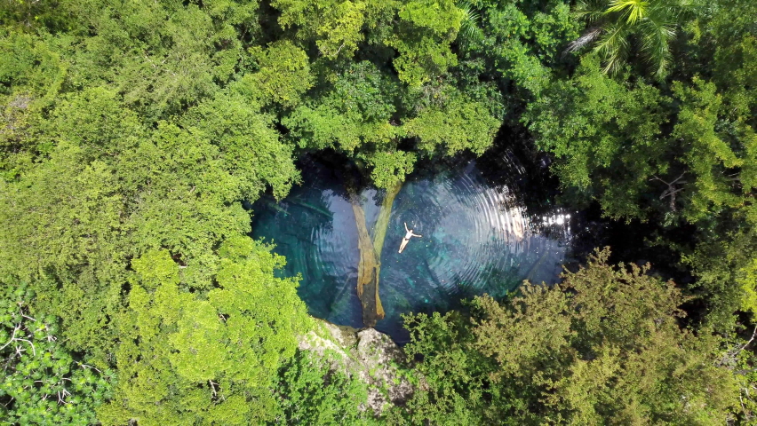 Aerial view of a cenote, in Punta Cana, Dominican Republic Royalty-Free Stock Footage #1087927181