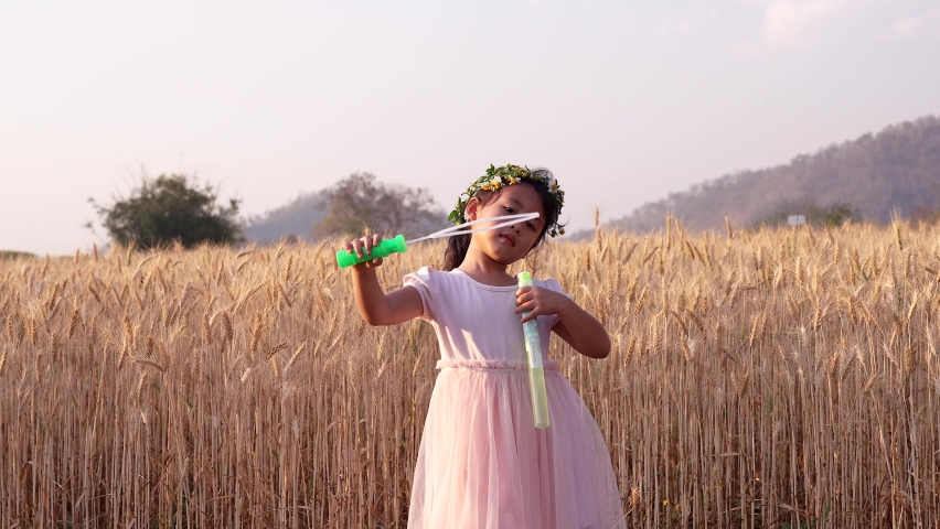 Cute little Asian girl in pink playing bubble against wheat field.