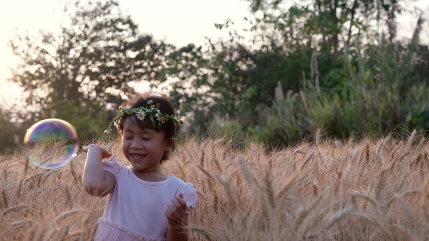 Smiling little girl playing bubble on barley wheat field at dusk.