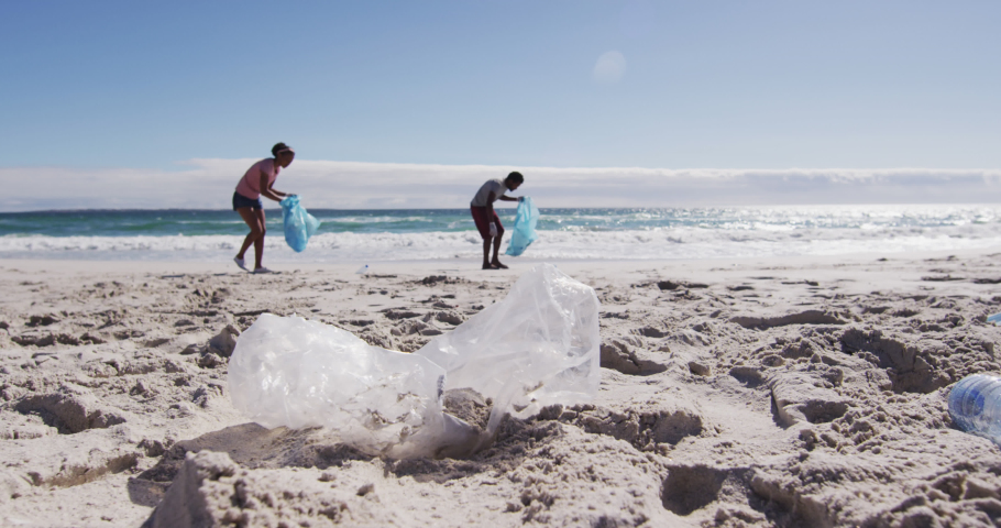 Animation of butterflies over african american man and woman picking up rubbish on beach. eco conservation volunteers, beach clean-up concept digitally generated video.