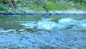 Rapid river stream cold video backgrounds